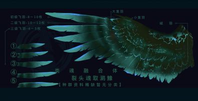 4DF3E449-7CF7-类魂融合体-裂头魂取㶉鱌「羽毛结构分解」【研究报告】 