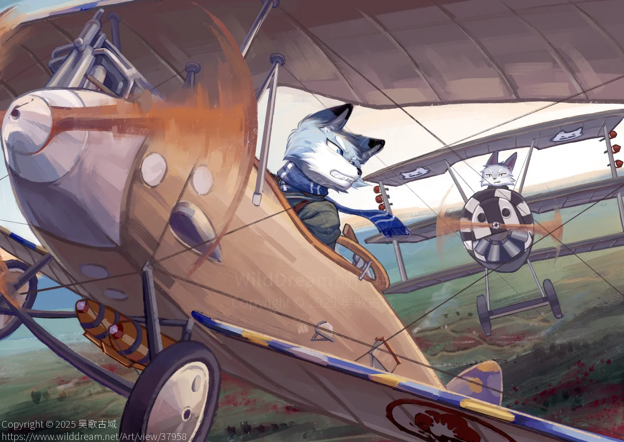 【委托】SAR空战追击 by 吴歌古域