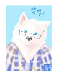 萨摩耶