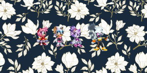 Amy, Rouge, Blaze and Tangle on the first flower pattern by Marc Brown by shwapneel1999