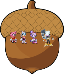 Amy, Rouge, Blaze and Tangle and the acorn by Marc Brown by shwapneel1999