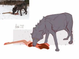 [20221118] by Akoki
