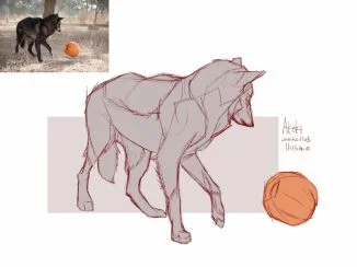 [20221122] by Akoki