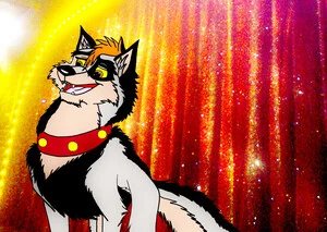 Kitara the wolfhound - 小狗巨星。2