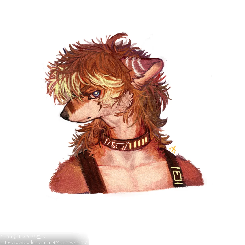 狐狗venus by 星木, furry, furry oc, 厚涂, 头像