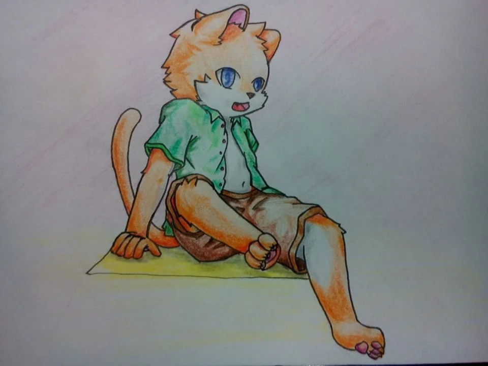 aa by norphen