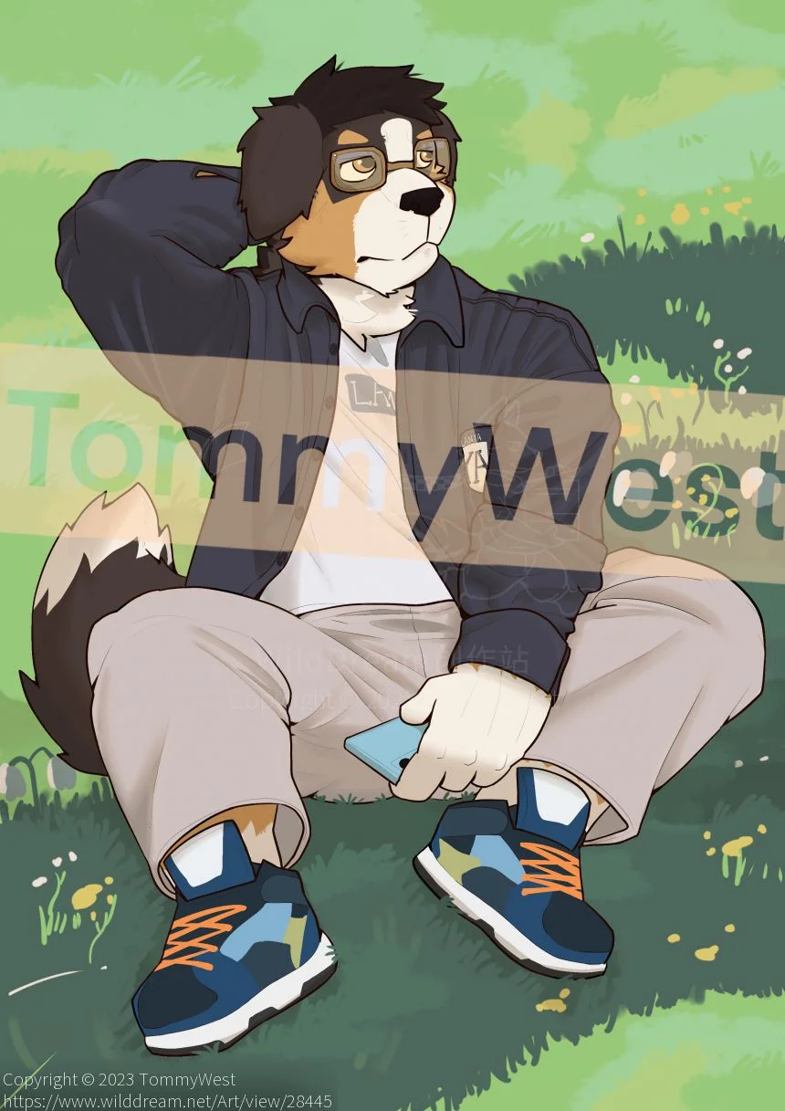 委托 岚牙 by TommyWest