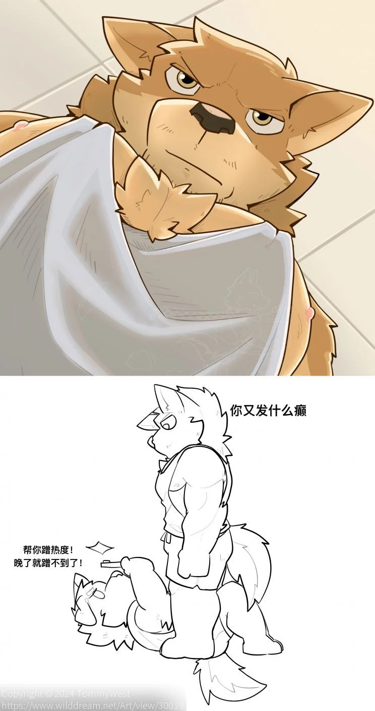 跟风 by TommyWest