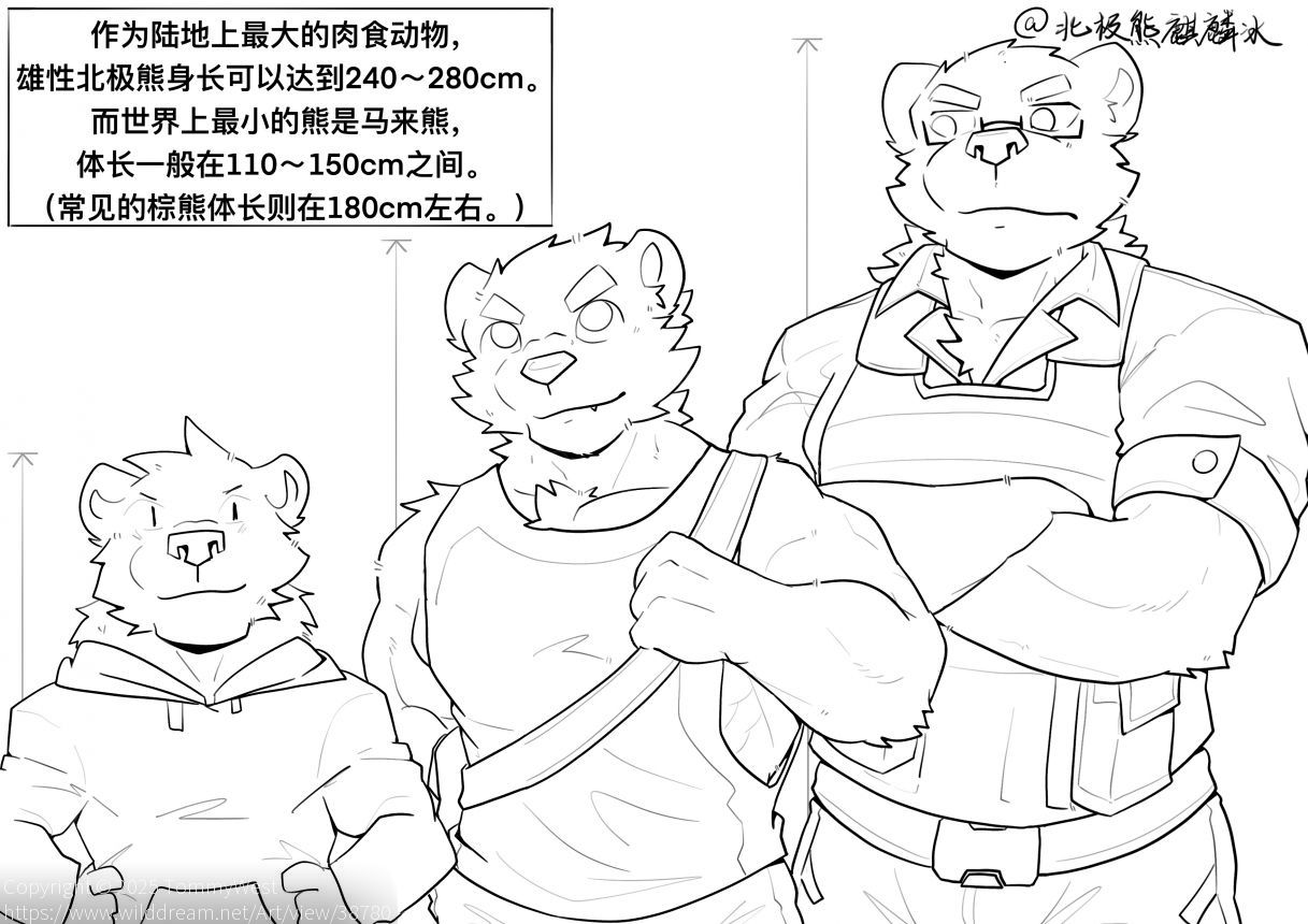北极熊&马来熊 by TommyWest