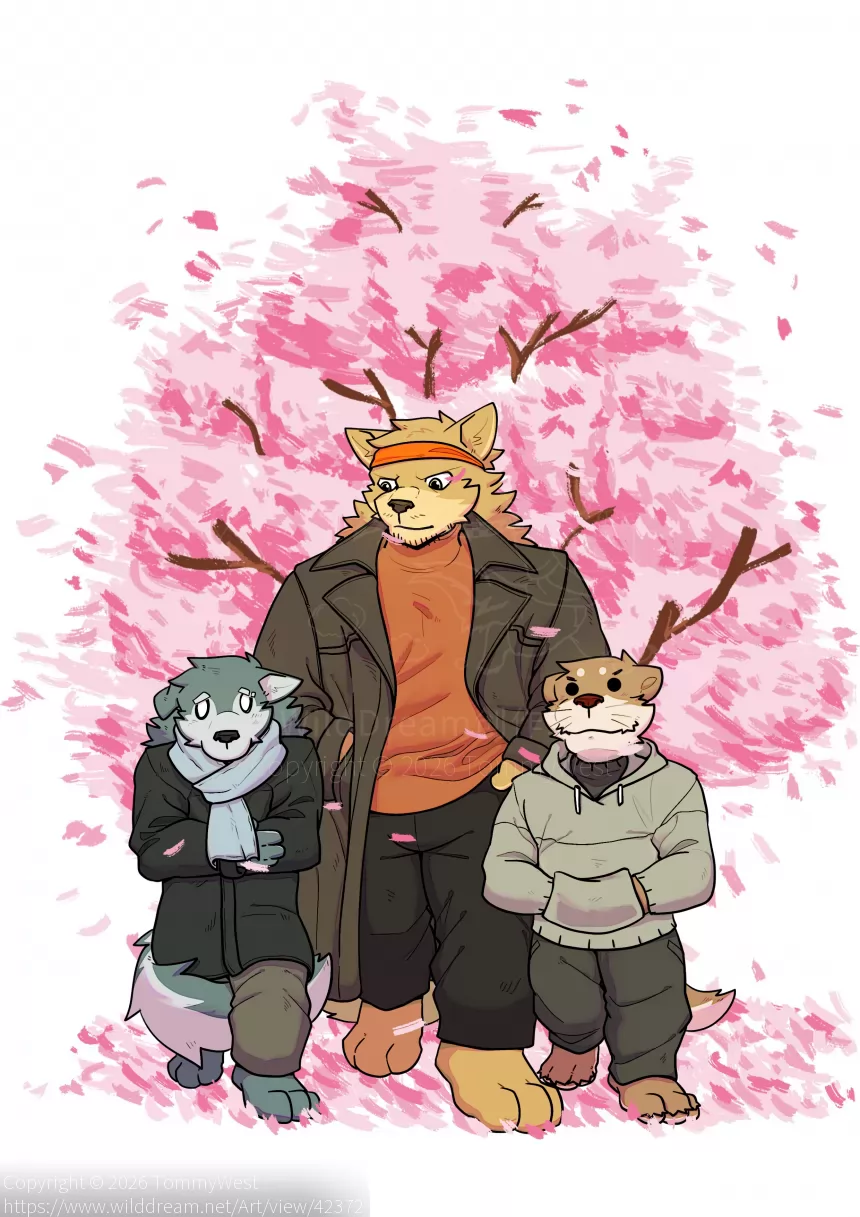 🌸 by TommyWest