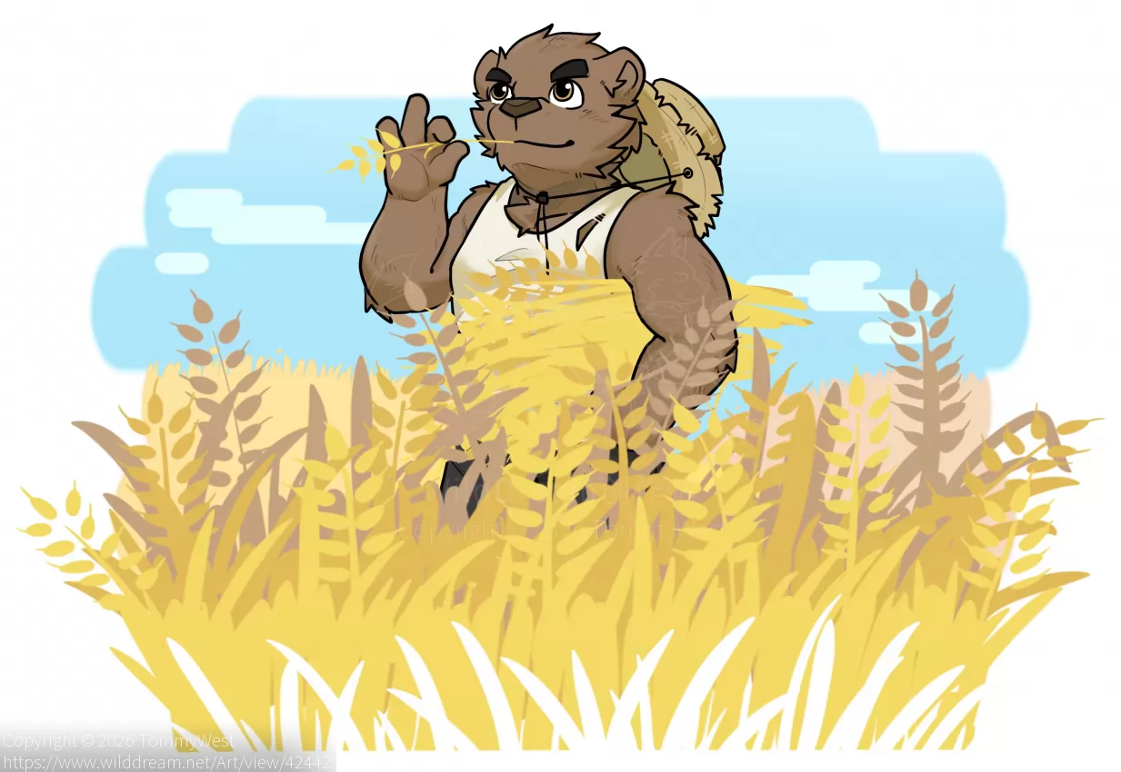 🌾 by TommyWest