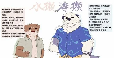 水獭VS海獭