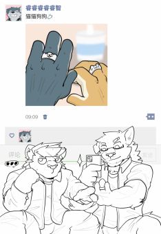 猫猫狗狗 by TommyWest