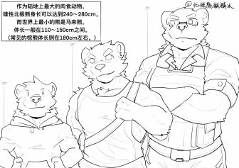 北极熊&马来熊 by TommyWest