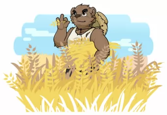 🌾