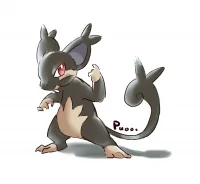 ratata
