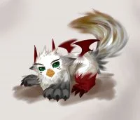 猫头鹰jk by ChrisLee天狼星
