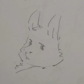 兔兔