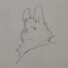 兔兔