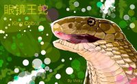 眼镜王蛇 by 淇奥