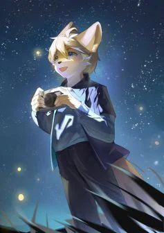 星空 by 络洛