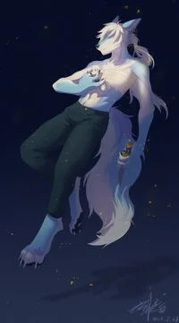 星屑 by 狼暁白